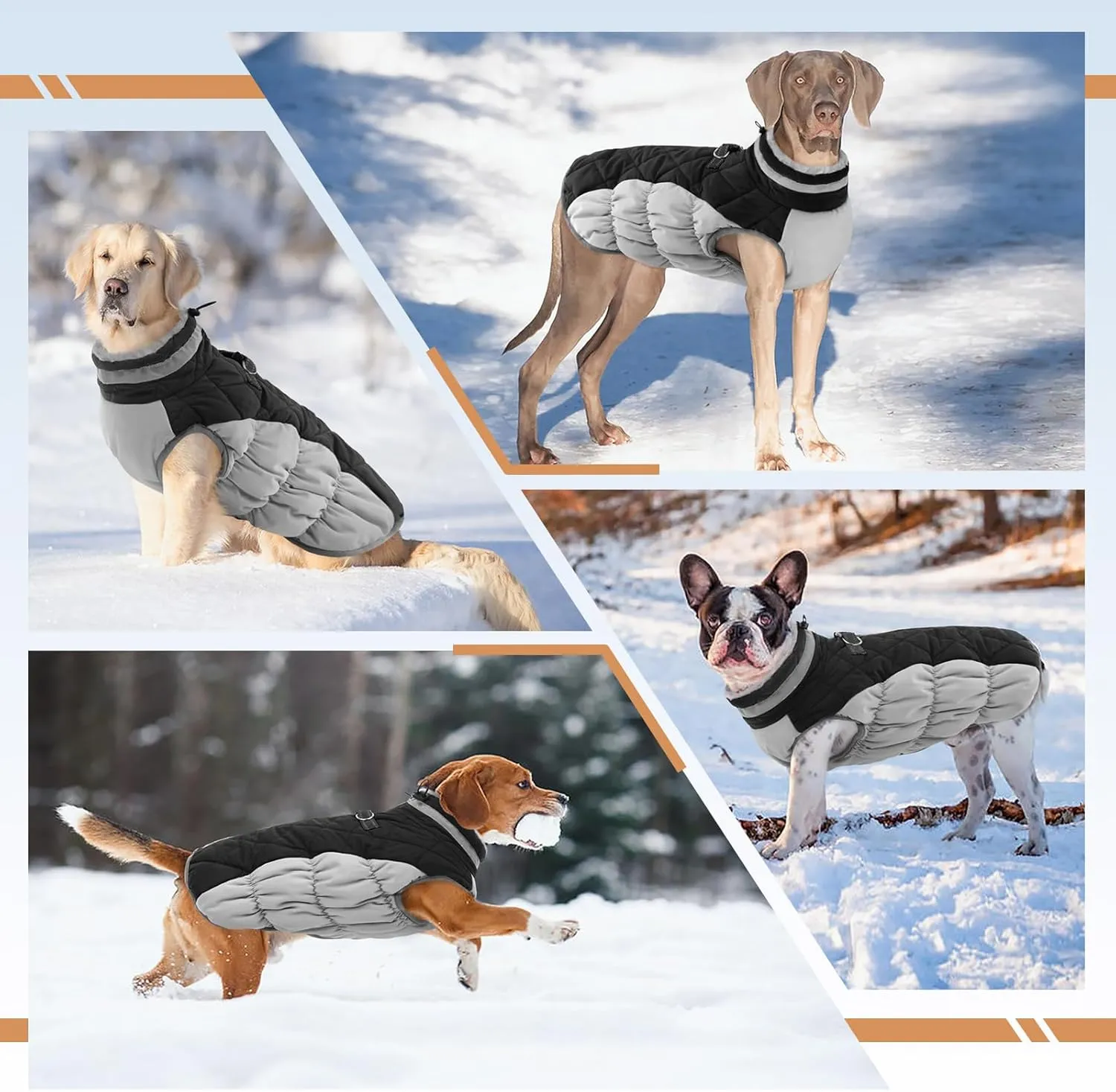 Dog Jackets for Medium Dogs,Medium Dog Coat,Warm Pet Winter Coat Zip Up Back,Waterproof Dogs Jacket with D-Ring,Pet Cold Weather Coats with Fleece Lined, Snowsuit Pug Boston Terrier,Black,M