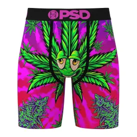 PSD Men's Multicolor Recreational Print Boxer Briefs Large Underwear - 424180091-MUL-L