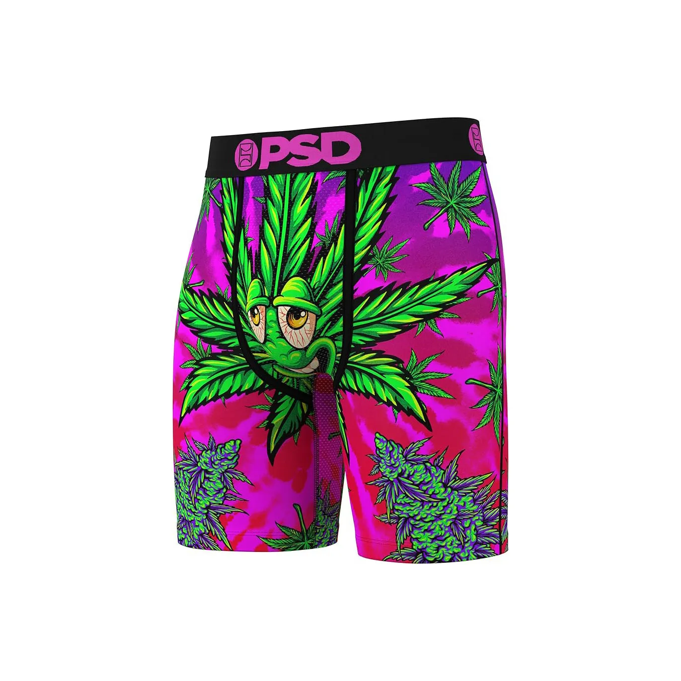 PSD Men's Multicolor Recreational Print Boxer Briefs Large Underwear - 424180091-MUL-L