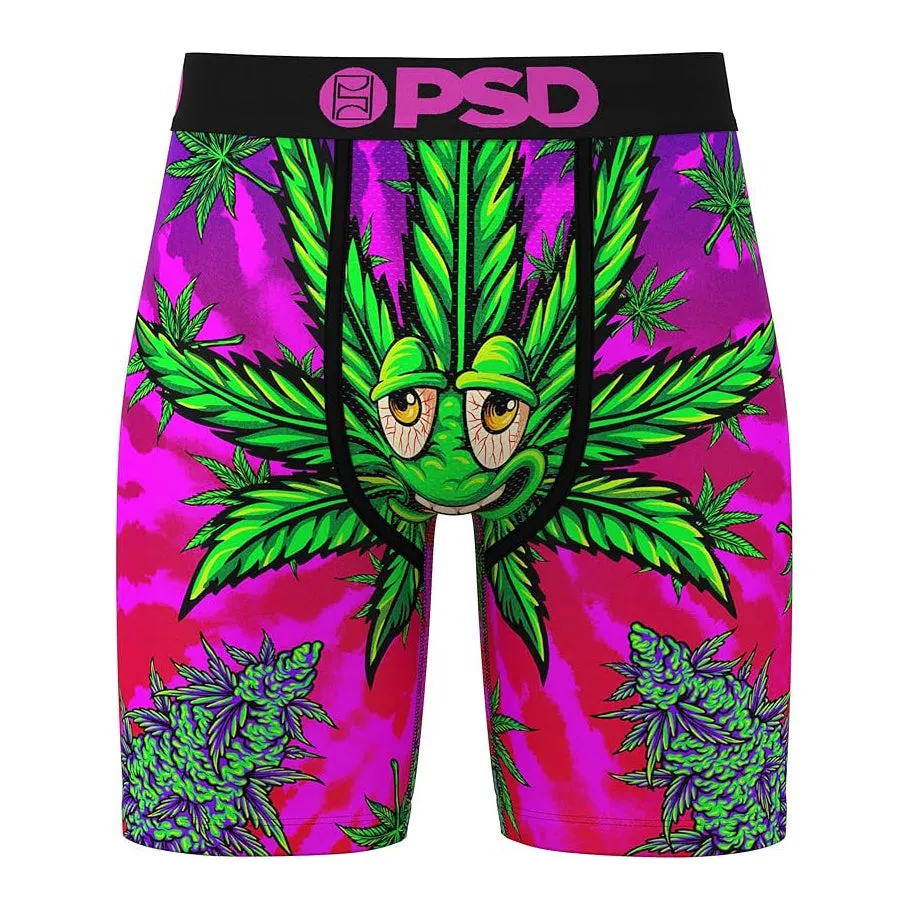 PSD Men's Multicolor Recreational Print Boxer Briefs Large Underwear - 424180091-MUL-L
