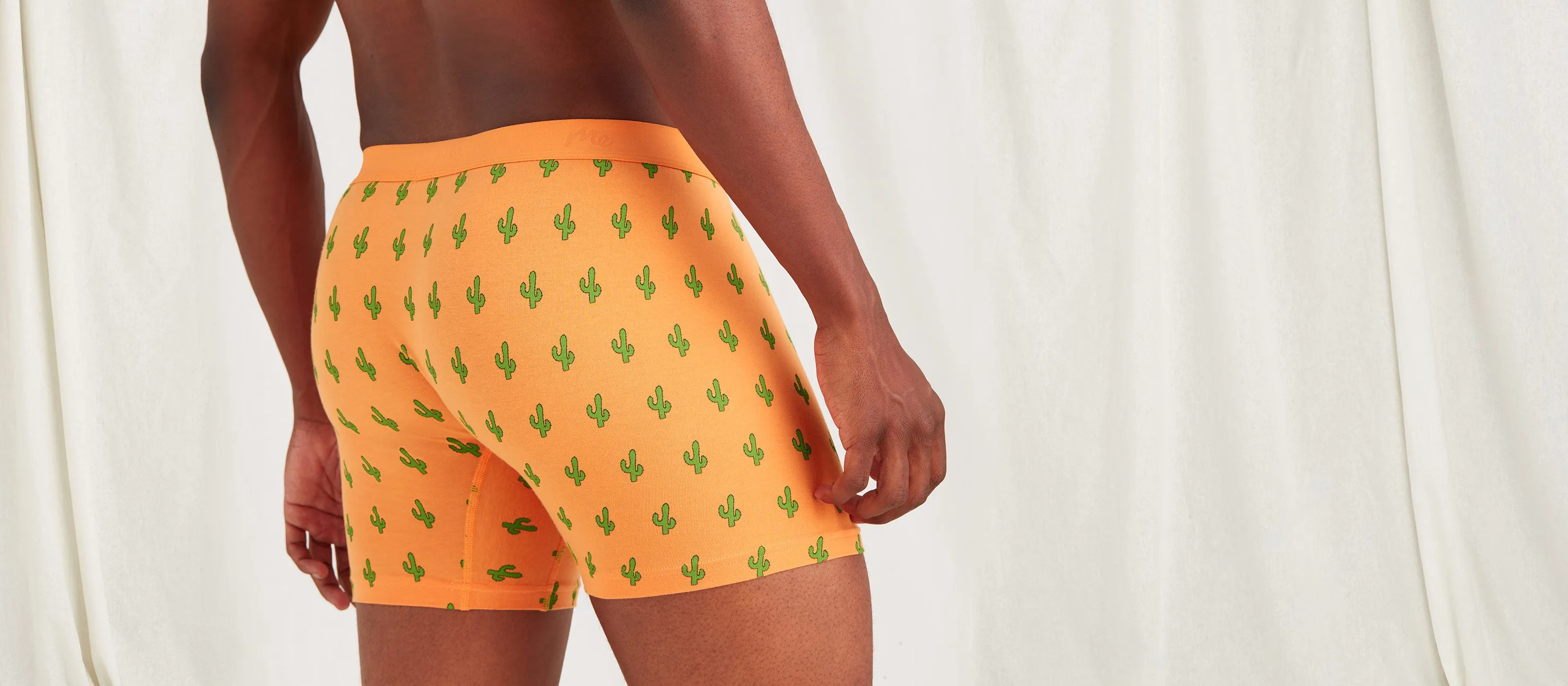 Stretch Cotton Boxer Brief w/ Fly | Saguaro Blossom